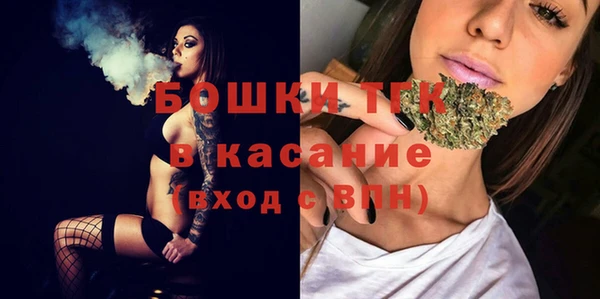 молекула духа Богородск
