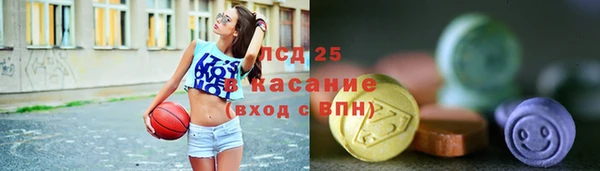 ГАЛЛЮЦИНОГЕННЫЕ ГРИБЫ Осташков